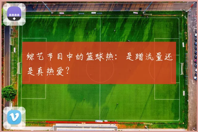 综艺节目中的篮球热：是蹭流量还是真热爱？