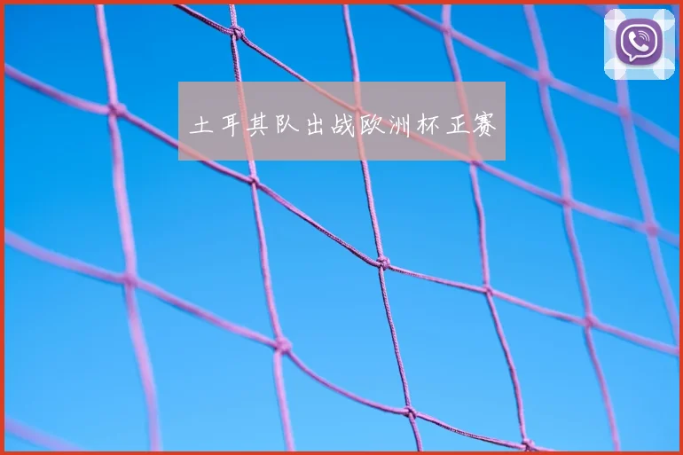 土耳其队出战欧洲杯正赛