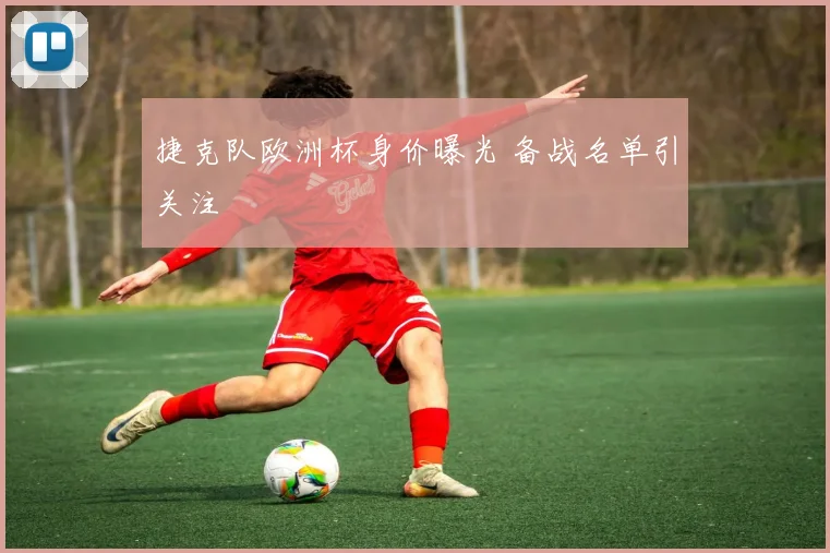 捷克队欧洲杯身价曝光 备战名单引关注