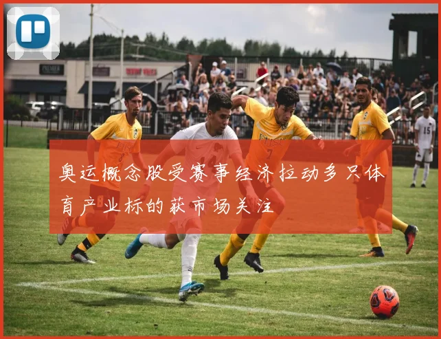 奥运概念股受赛事经济拉动多只体育产业标的获市场关注