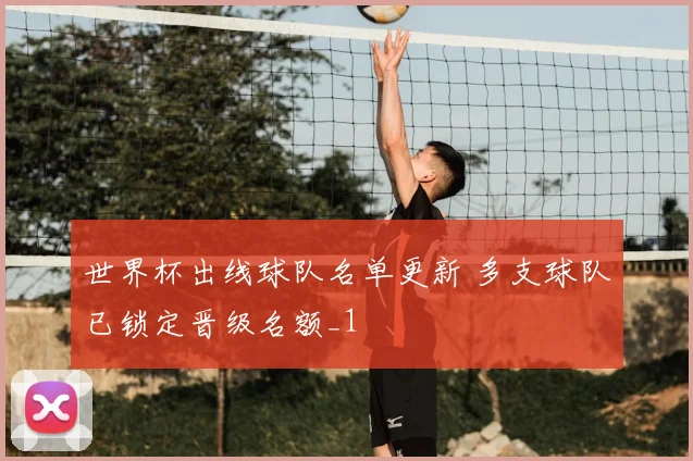 世界杯出线球队名单更新 多支球队已锁定晋级名额_1