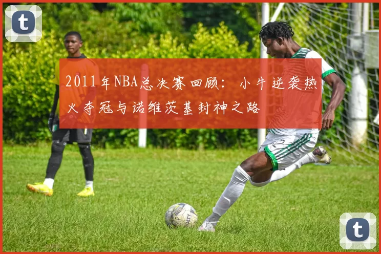 2011年NBA总决赛回顾：小牛逆袭热火夺冠与诺维茨基封神之路
