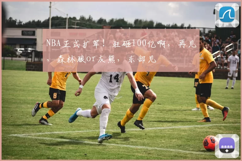 NBA正式扩军！狂砸100亿啊，再见，森林狼or灰熊，东部见