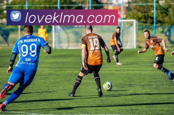 开云·kaiyun体育(中国大陆)官方网站 登录入口服务体系